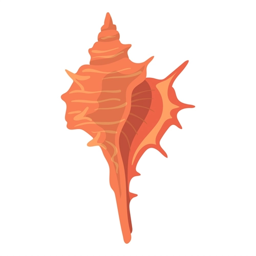 Under the Sea Theme Conch Transparent Sticker